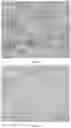 Fig. 22 - Humanized anti-TPBG antibody, preparation method therefor, conjugate thereof, and applications