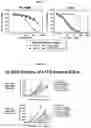 Fig. 09 - VARIANT TARGET BINDING AGENTS AND USES THEREOF