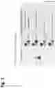 Fig. 02 - TRISPECIFIC ANTIGEN BINDING PROTEINS