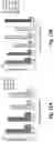 Fig. 16 - TRISPECIFIC ANTIGEN BINDING PROTEINS