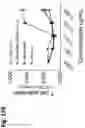 Fig. 22 - TRISPECIFIC ANTIGEN BINDING PROTEINS