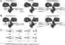 Fig. 01 - Glycosynthase variants for glycoprotein engineering and methods of use