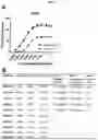 Fig. 08 - Glycosynthase variants for glycoprotein engineering and methods of use