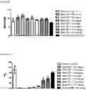 Fig. 10 - Methods of administering inhibitory anti-factor XII/XIIa monoclonal antibodies