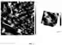 Fig. 03 - SPHERICAL CELLULOSE NANOPARTICLES AND PROCESS FOR PREPARATION THEREOF