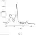 Fig. 05 - SPHERICAL CELLULOSE NANOPARTICLES AND PROCESS FOR PREPARATION THEREOF