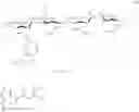 Fig. 26 - METHOD OF CROSSLINKING GLYCOSAMINOGLYCANS