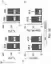 Fig. 08 - Chelator-functionalized glycosaminoglycans