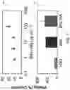 Fig. 20 - Chelator-functionalized glycosaminoglycans