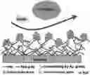 Fig. 01 - Biomolecule-functionalised PVC and production method thereof