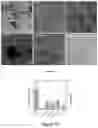 Fig. 09 - Biomolecule-functionalised PVC and production method thereof