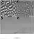 Fig. 16 - ULTRAHIGH MOLECULAR WEIGHT BLOCK COPOLYMERS AND POLYMERS, METHODS OF MAKING SAME, AND USES OF SAME