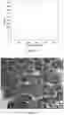 Fig. 19 - ULTRAHIGH MOLECULAR WEIGHT BLOCK COPOLYMERS AND POLYMERS, METHODS OF MAKING SAME, AND USES OF SAME