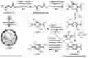 Fig. 01 - Aromatic polyesters from biosuccinic acid