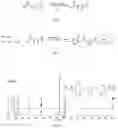 Fig. 02 - Modified bismaleimide resin and preparation method thereof