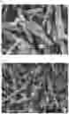 Fig. 02 - METAL-COATED PARTICLES AND RESIN COMPOSITION