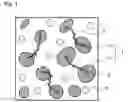 Fig. 02 - Cellulose composite resin and method for the production thereof