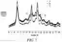 Fig. 02 - Molded article comprising polysaccharide