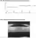Fig. 07 - USE OF A THERMOSETTING POLYMERIC POWDER COMPOSITION