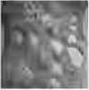 Fig. 01 - Polyamide-based Composite Resin Composition Having Excellent Gas Barrier Property