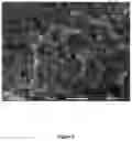 Fig. 04 - Polymer alloy comprising a sulphur-containing aromatic polymer and a thermoplastic vulcanizate