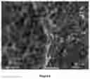 Fig. 05 - Polymer alloy comprising a sulphur-containing aromatic polymer and a thermoplastic vulcanizate