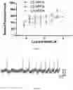 Fig. 06 - Microlasers based dye doped polymeric resonators for brain activity stimulation and monitoring