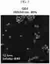 Fig. 04 - Quantum dot device and quantum dots