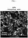 Fig. 06 - Quantum dot device and quantum dots