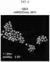 Fig. 08 - Quantum dot device and quantum dots
