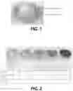 Fig. 02 - LUBRICANT COMPOSITION FOR HIGH-TEMPERATURE APPLICATIONS