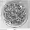 Fig. 04 - METHOD FOR EXTRACTING HEAT-SENSITIVE ANTARCTIC KRILL OIL