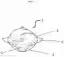 Fig. 02 - WATER-SOLUBLE UNIT DOSE ARTICLE COMPRISING AN OLIGOAMINE OR SALT THEREOF