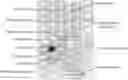 Fig. 01 - Small volume bioreactors with substantially constant working volumes and associated systems and methods