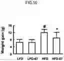 Fig. 11 - Lactic acid bacteria capable of controlling blood sugar and use thereof