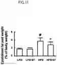 Fig. 12 - Lactic acid bacteria capable of controlling blood sugar and use thereof
