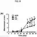 Fig. 19 - Lactic acid bacteria capable of controlling blood sugar and use thereof