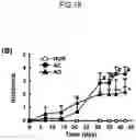 Fig. 20 - Lactic acid bacteria capable of controlling blood sugar and use thereof