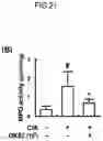 Fig. 22 - Lactic acid bacteria capable of controlling blood sugar and use thereof