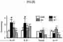 Fig. 27 - Lactic acid bacteria capable of controlling blood sugar and use thereof