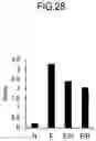 Fig. 29 - Lactic acid bacteria capable of controlling blood sugar and use thereof