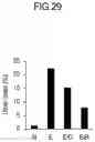 Fig. 30 - Lactic acid bacteria capable of controlling blood sugar and use thereof