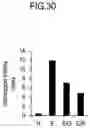 Fig. 31 - Lactic acid bacteria capable of controlling blood sugar and use thereof