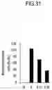 Fig. 32 - Lactic acid bacteria capable of controlling blood sugar and use thereof