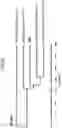 Fig. 34 - Lactic acid bacteria capable of controlling blood sugar and use thereof