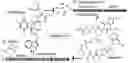 Fig. 01 - Method to induce spore germination in fungi