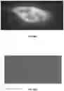 Fig. 44 - Three-dimensional printed organs, devices, and matrices