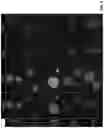 Fig. 09 - Acceleration of stem cell differentiation