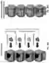 Fig. 33 - Acceleration of stem cell differentiation