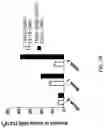Fig. 13 - METHODS AND COMPOSITIONS FOR TREATING CANCER